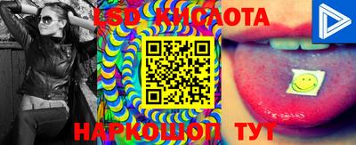 крисы Ставрополь