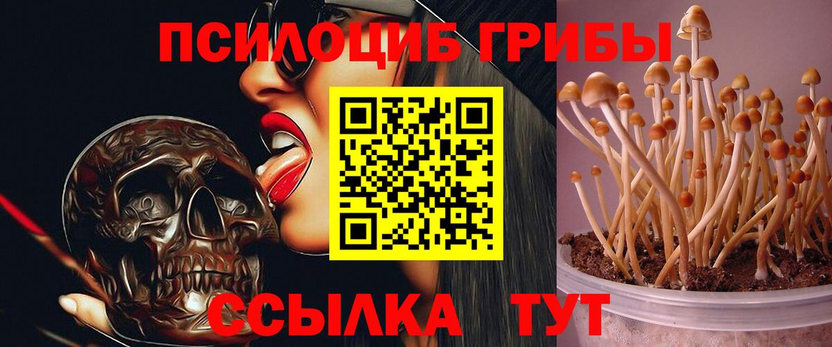 Псилоцибиновые грибы Magic Shrooms  Вход с VPN  Набережные Челны 